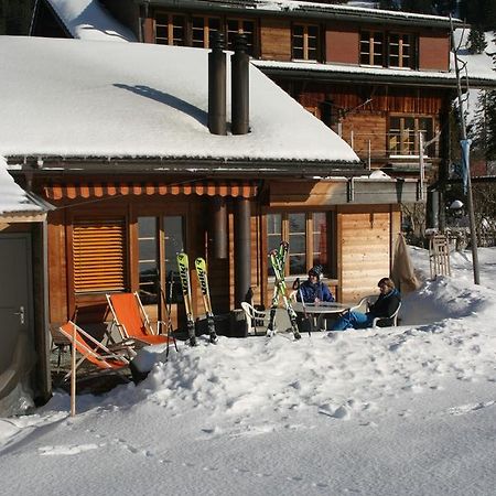 Apartmán Bergdohle Adelboden Exteriér fotografie