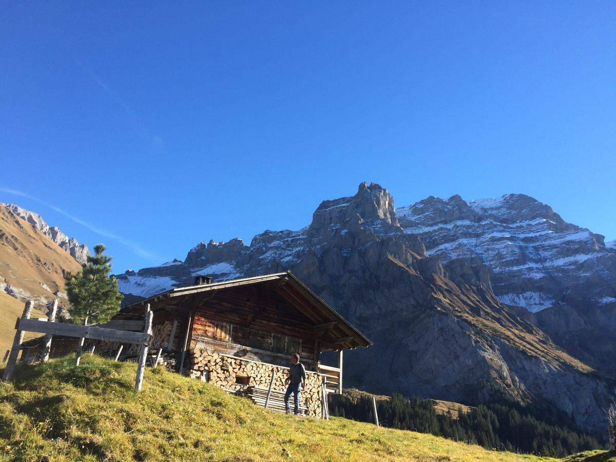Apartmán Bergdohle Adelboden Exteriér fotografie