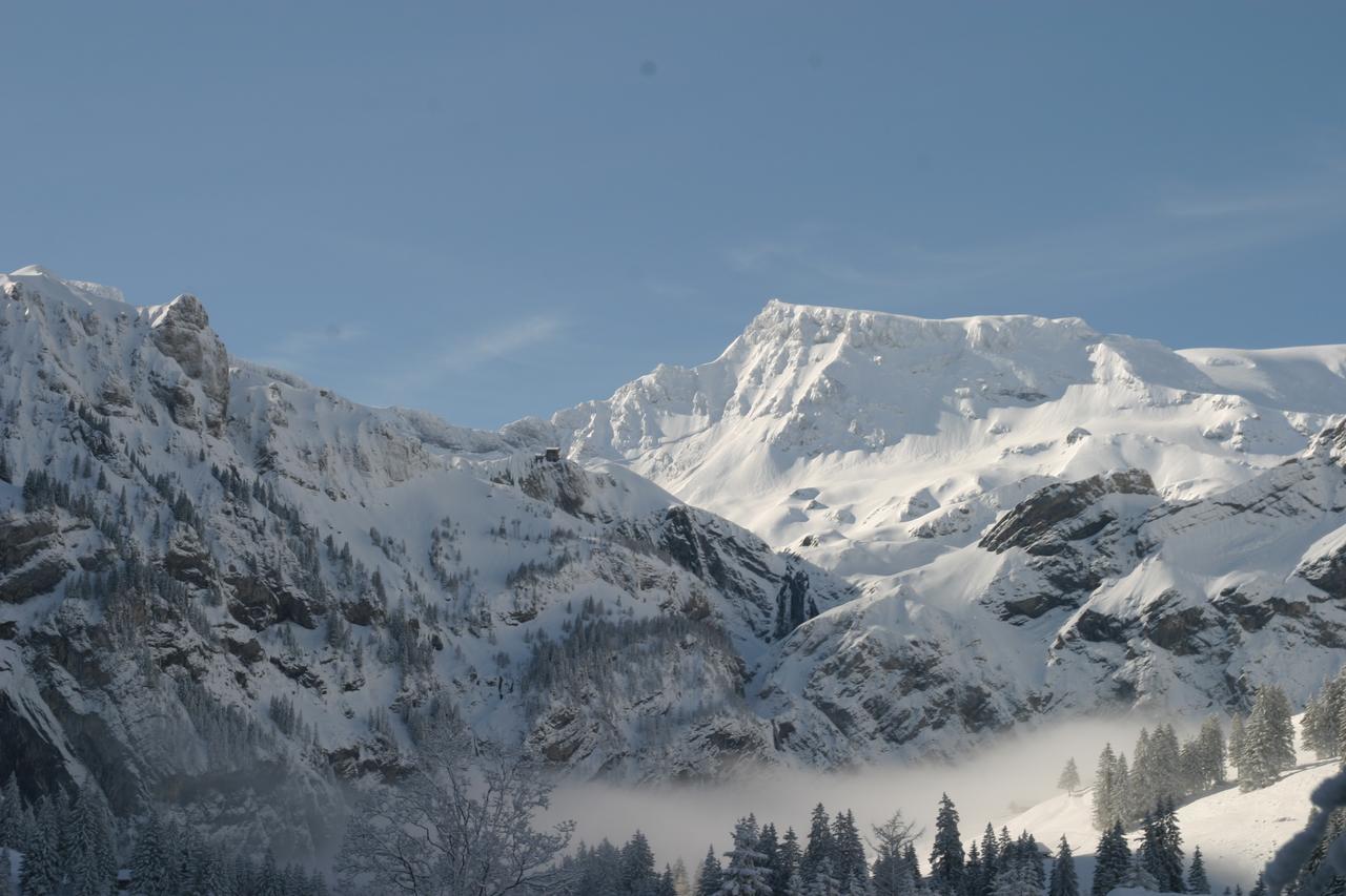 Apartmán Bergdohle Adelboden Exteriér fotografie