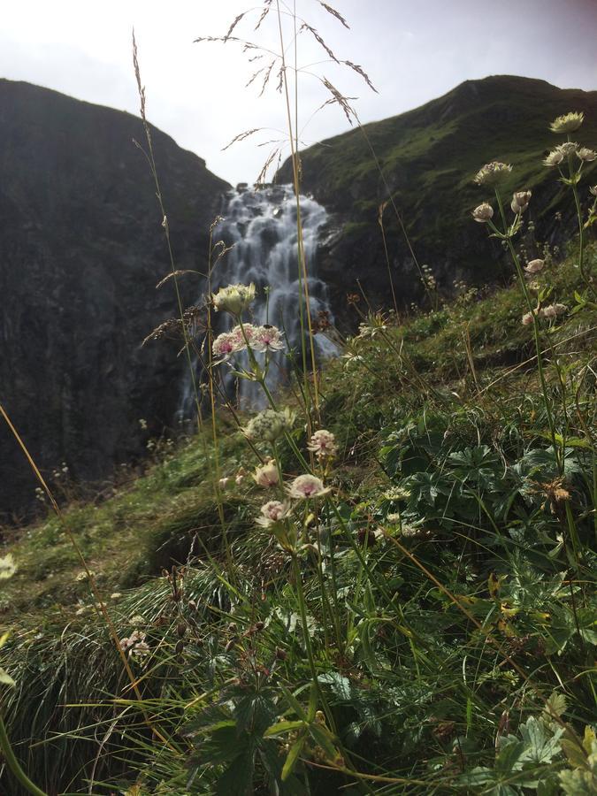 Apartmán Bergdohle Adelboden Exteriér fotografie